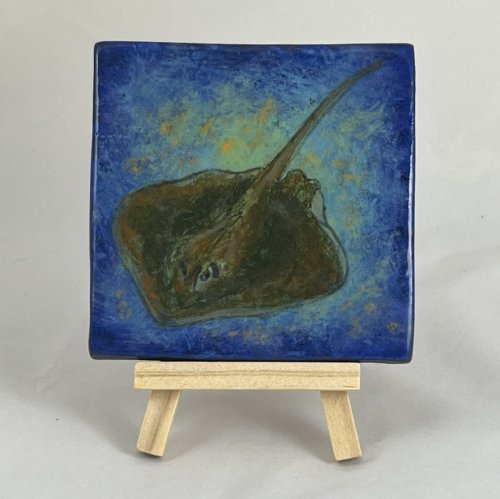 Stingrays Blue